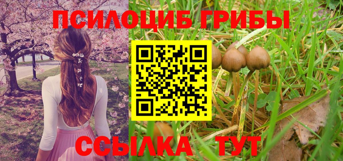 Псилоцибиновые грибы Cubensis Каменск-Уральский